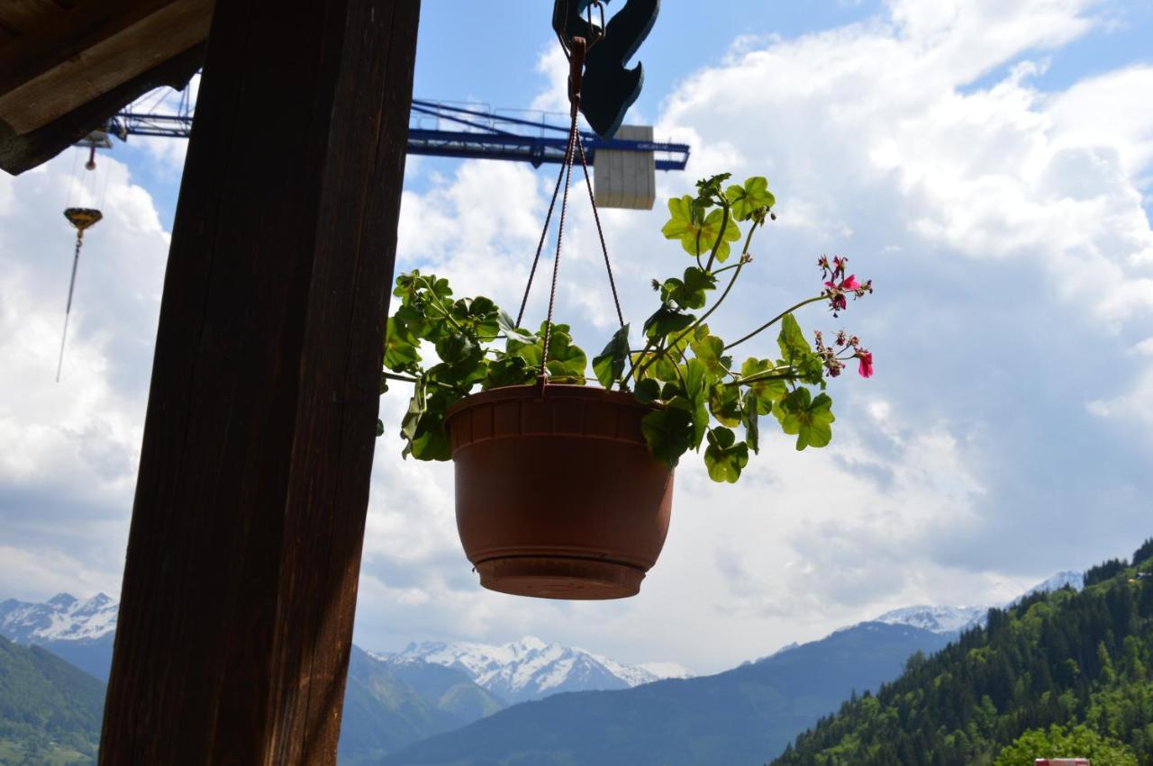 Haus Ebenberghof Apartment Цел ам Зее Екстериор снимка